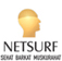 netsurf-logo